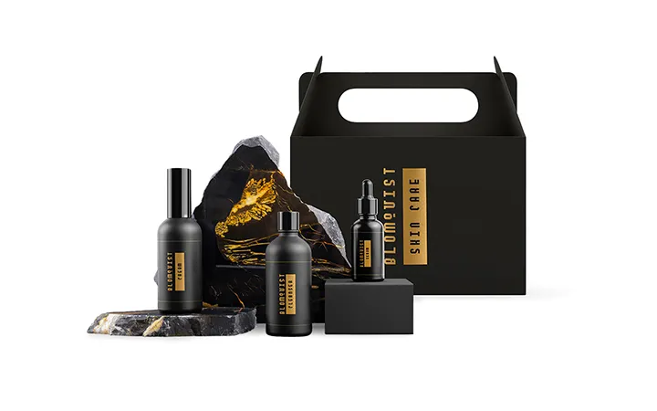 Bedruckte Tragegriffschachtel