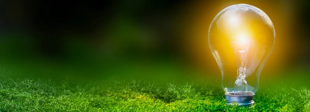 Grüne Wiese auf der eine leuchtende Glühbirne eingeschraubt ist Grüne Wiese auf der eine leuchtende Glühbirne eingeschraubt ist