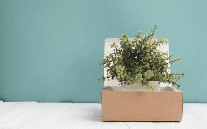 Klappkarton natur Klappkarton natur