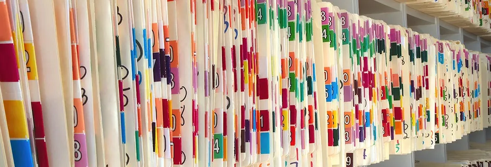 Diversi tipi di carta in scaffale